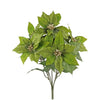 image variant Verde