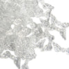 image variant Transparente