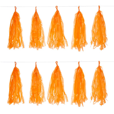 Fantasías Miguel Art.1707 Guía Borlas De Papel x10 35cm    2.4m 1pz