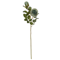 Art.2406 Vara De Rosa Fina Color Especial