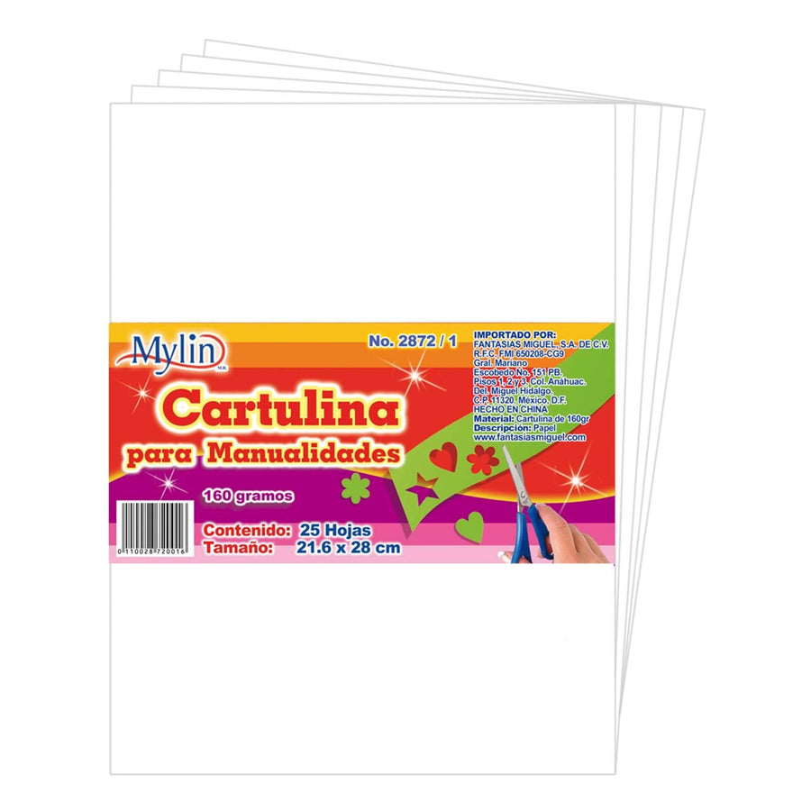Art.2872 Cartulina