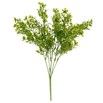 Art.2939 Planta Fina x5