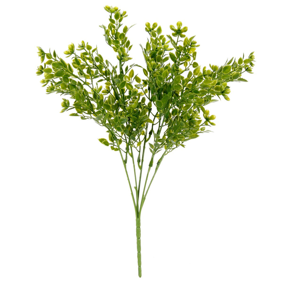 Art.2939 Planta Fina x5