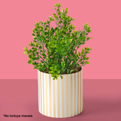 Fantasías Miguel Art.2939 Planta Fina x5 36cm 1pz