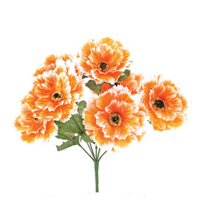 Art.2957 Bush Chico Fino Amapola X7