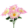 image variant Rosa