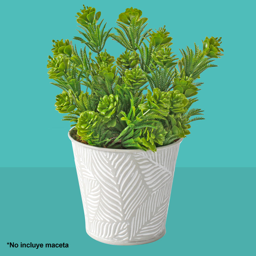 Art.2987 Planta Fina x5 34cm 1pz