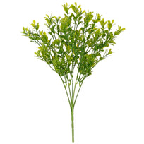 Art.2992 Planta Fina x5