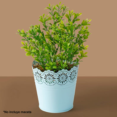 Fantasías Miguel Art.2992 Planta Fina x5 33cm 1pz