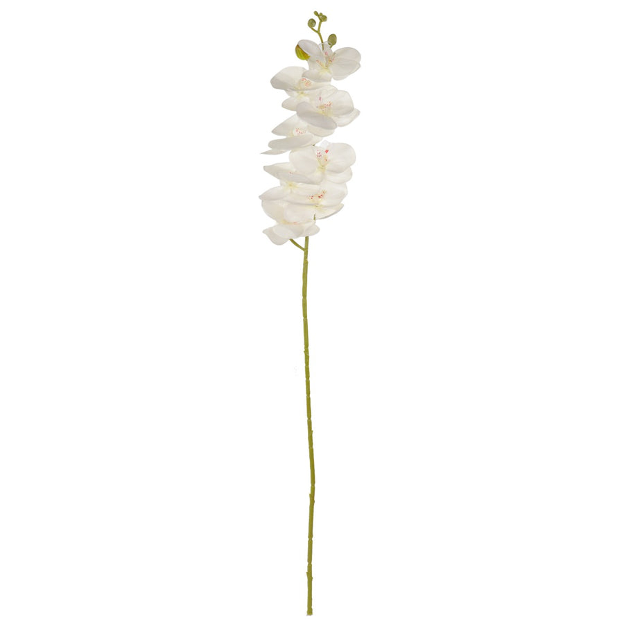 Art.3108 Vara Fina Orquídea Con 8 Flores