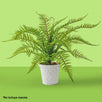Fantasías Miguel Art.3479 Planta Helecho 61cm 1pz