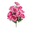 image variant Rosa