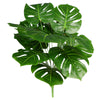 image variant Verde