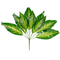 Art.3852 Planta Fina X9