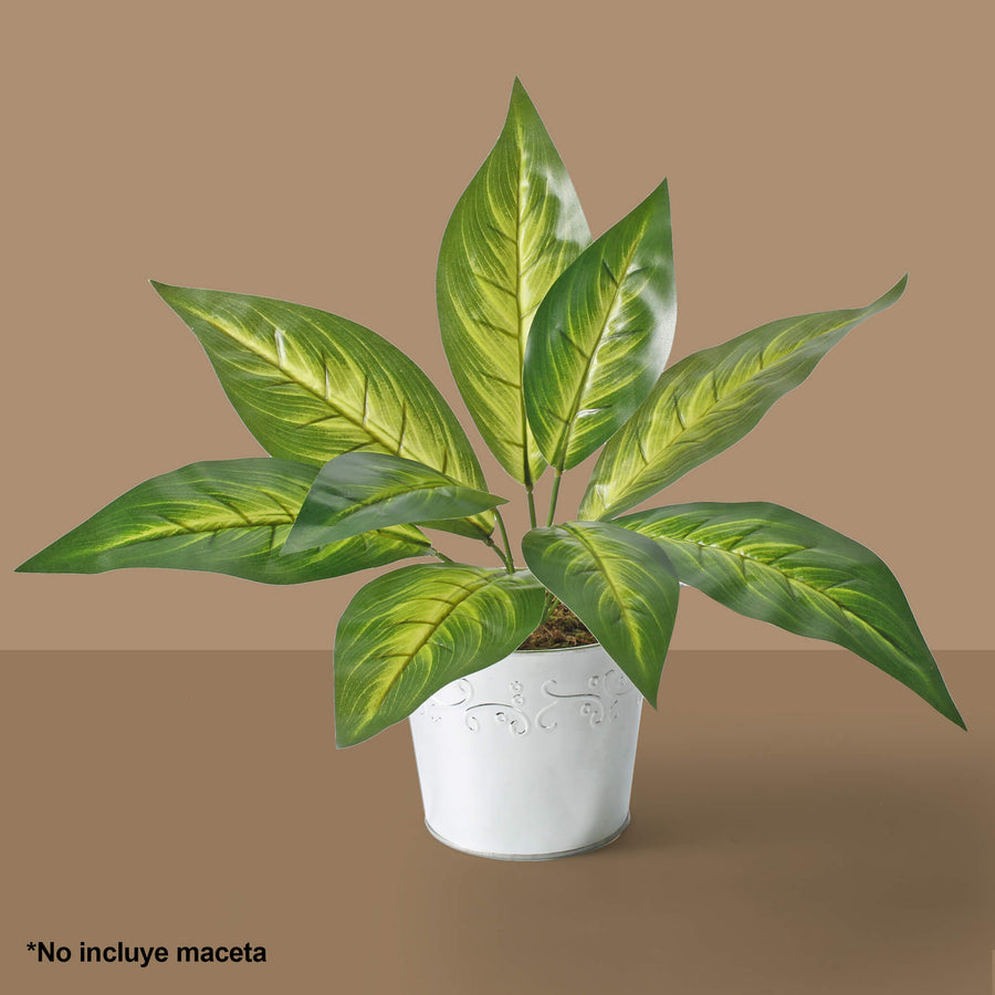 Art.3852 Planta Fina x9 38.5cm 1pz