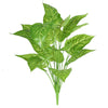 image variant Verde