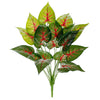 image variant Verde