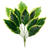 image variant Verde