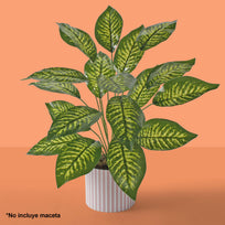 Art.3914 Planta Fina x18 59cm 1pz