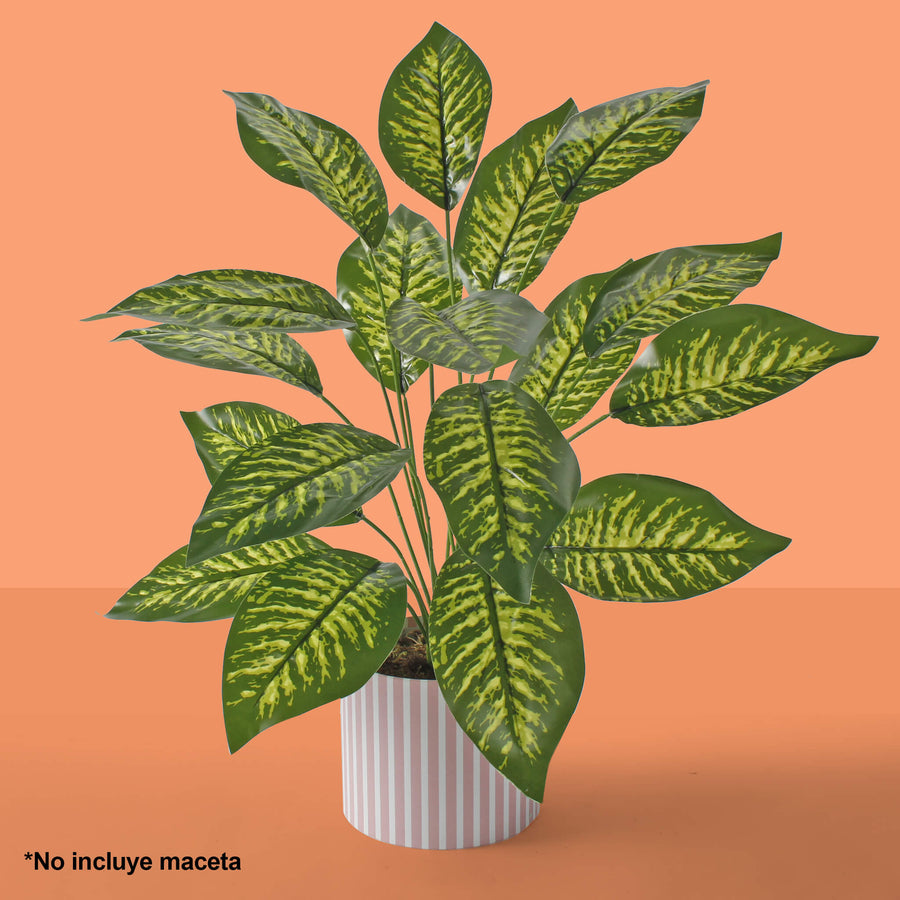 Art.3914 Planta Fina x18 59cm 1pz