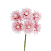 image variant Rosa