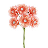 image variant Coral