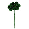 image variant Verde Bander