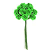 image variant Verde
