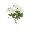 image variant Blanco