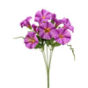 image variant Lavanda