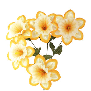 Art.5505 Bush Narciso X5