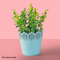 Art.5730 Ramo Follaje Dolar 35cm 1pz