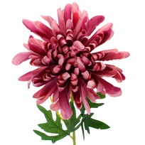 Art.5766 Flor Fina Crisantemo 65cm 1pz