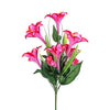 image variant Rosa Mexican