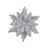 image variant Plata
