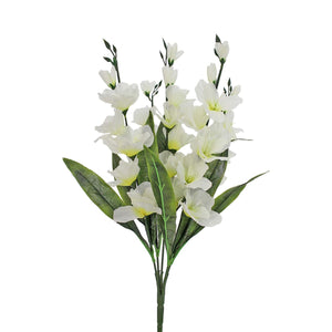 Art.5841 Bush Fino Gladiola X5