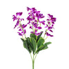 image variant Morado