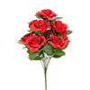 image variant Rojo