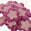 Fantasías Miguel Art.6444 Aplicación Flor De Puffy 33mm 200pz Rosa/Fiusha