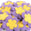 Fantasías Miguel Art.6444 Aplicación Flor De Puffy 33mm 200pz Amarill/Lava