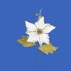 image variant Crema