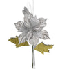 image variant Plata
