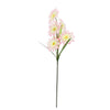 image variant Crema/Rosa