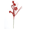 image variant Rojo