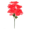 image variant Coral