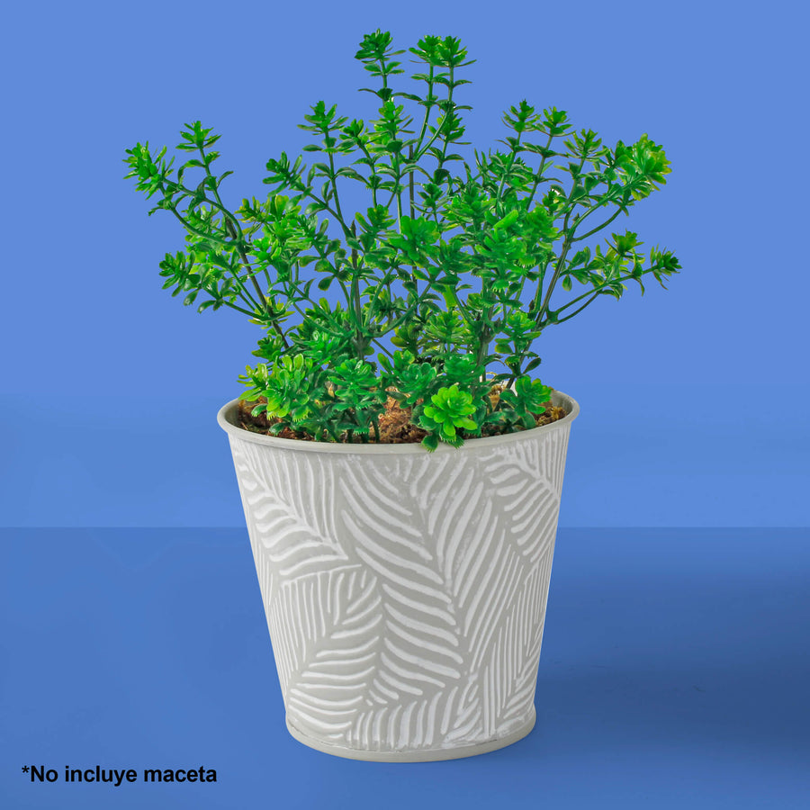 Art.9109 Planta Fina X5 31cm 1pz