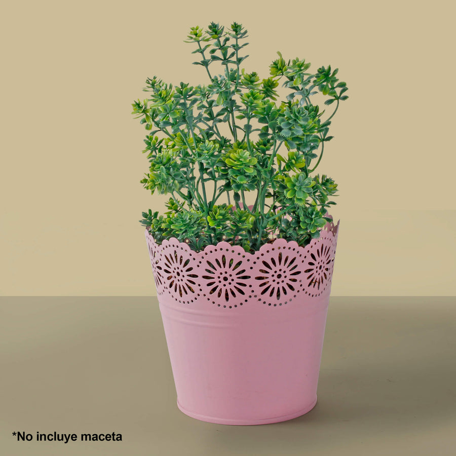 Art.9109 Planta Fina X5 31cm 1pz