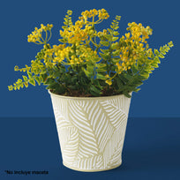 Art.9113 Planta Fina X5 32cm 1pz