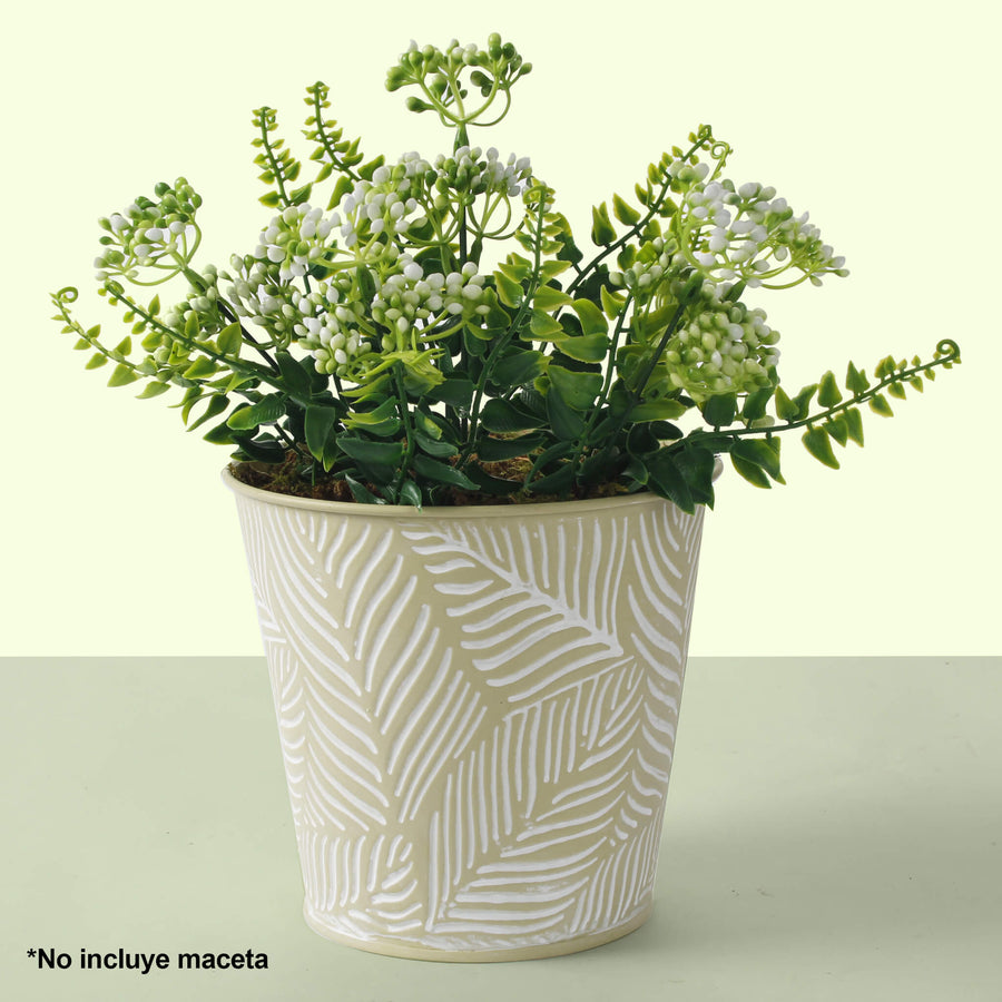 Art.9113 Planta Fina X5 32cm 1pz