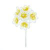 image variant Amarill/Bco